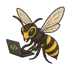 The wasp dev